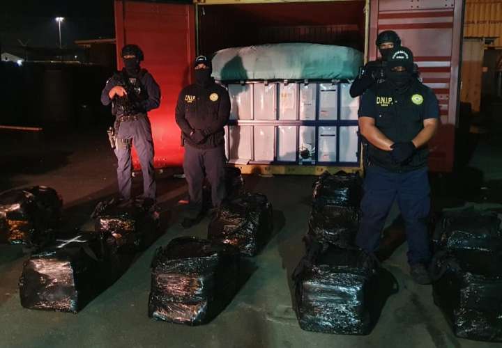 Le quitan 647 paquetes de "coca" a los narcos