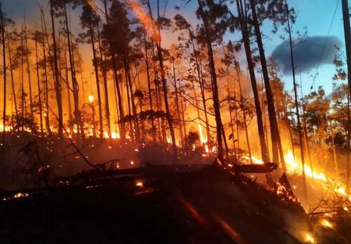 Siguen combatiendo el incendio forestal en La Yeguada.