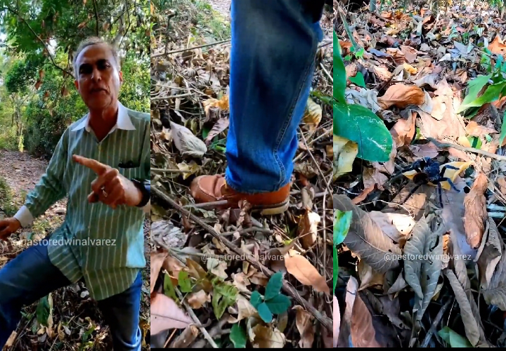 Critican al pastor Edwin Álvarez por aplastar una araña (Video)
