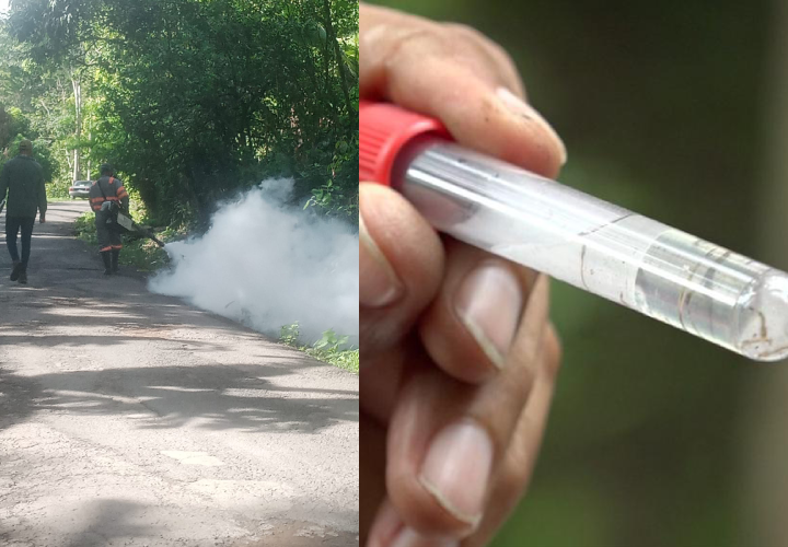 Preocupa aumento de casos de dengue en Colón 