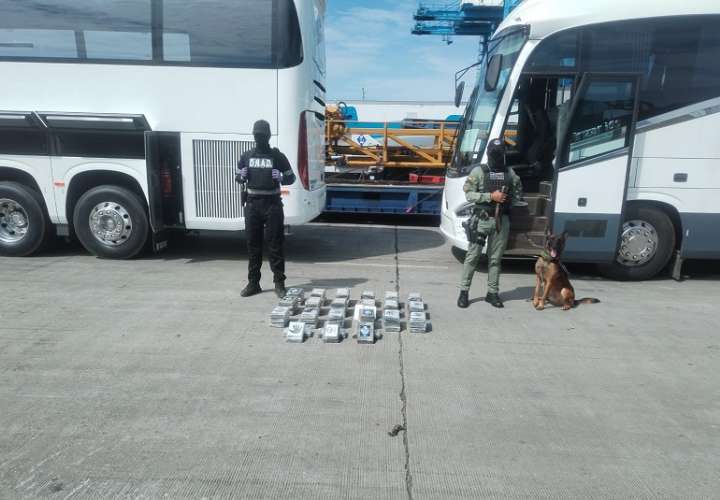 Los paquetes rectangulares estaban escondidos en dos buses que eran transportados desde Puerto Dos Santos en Brasil con tránsito por Panamá.