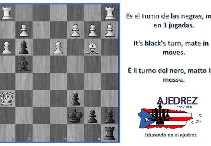  El ajedrez y la política