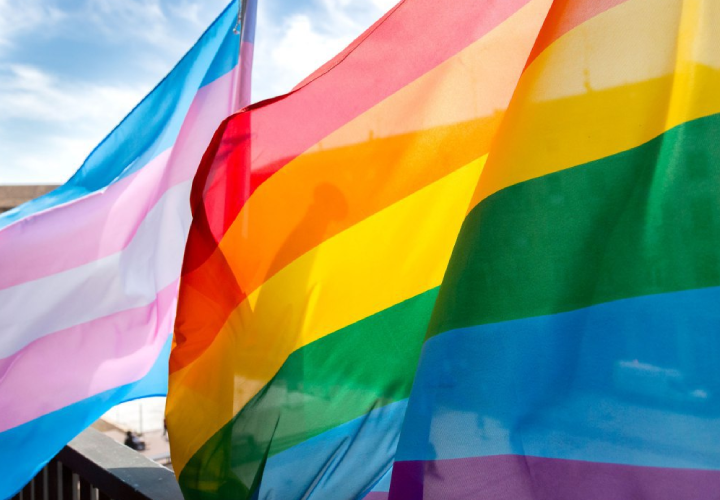 Madrid elimina la "identidad de género”. Trans y  LGTBi se cabrean