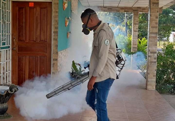 El Minsa efectúa fumigaciones en áreas de contagio para matar a los mosquitos adultos.