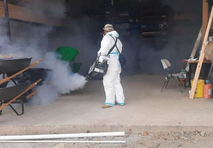 El Minsa recalca a las personas mantener su casa, negocios y su entorno limpio para evitar la proliferación de ratones y mosquitos.