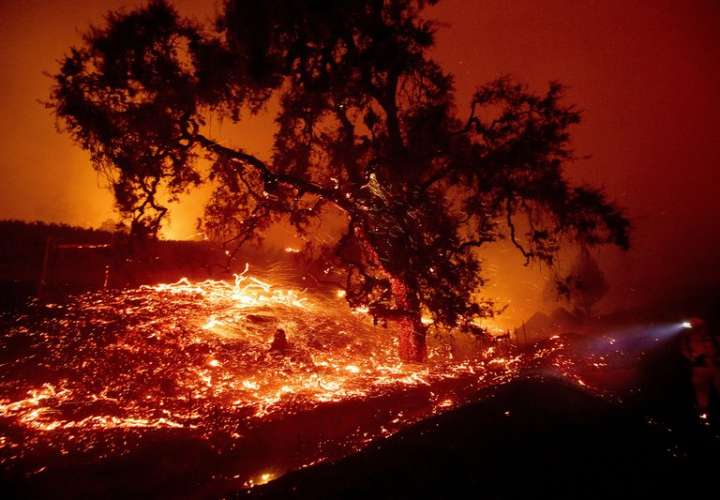Crece incendio en norte de California; activan evacuación