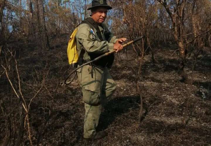 347 hectáreas de Cerro Picacho afectadas por incendios 