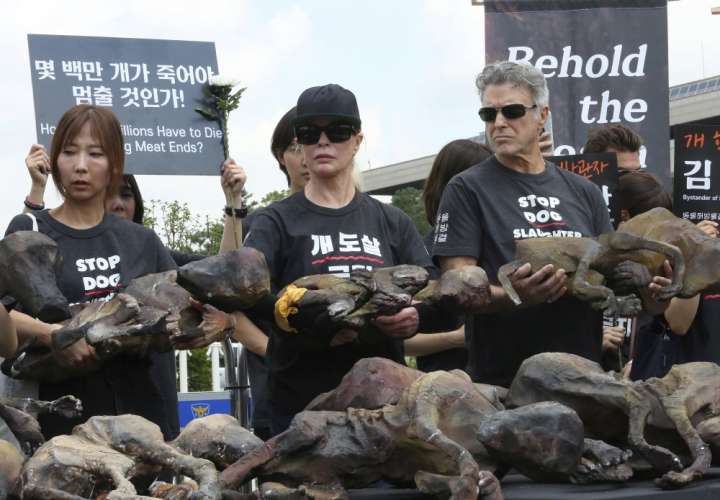 Protestas en Corea del Sur por consumo de carne de perro