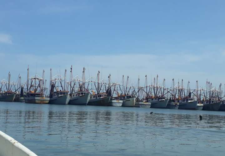 Desde el puerto pesquero de Vacamonte en Arraiján, zarparán 135 barcos industriales; además de 329 embarcaciones artesanales ya certificadas.
