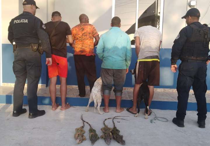 Cuatro hombres aprehendidos por caza ilegal de iguanas