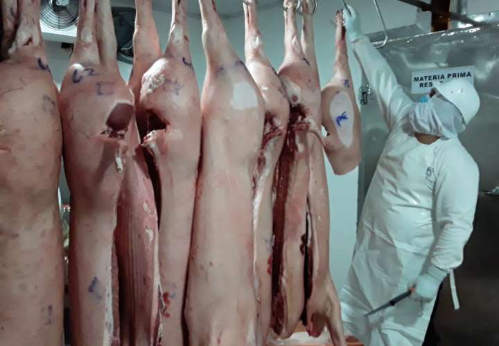 Chiriquí se suma al programa de compra de cerdos para Plan Panamá Solidario 