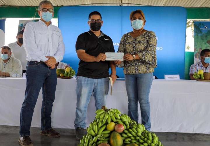 Productores de Bocas del Toro reciben pago por sus cosechas