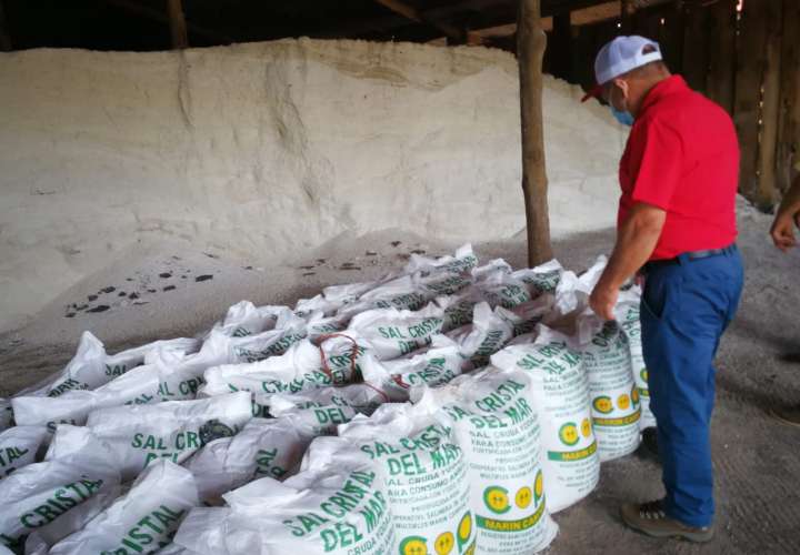 Confirman venta de 1,904 quintales de sal cruda al Mida