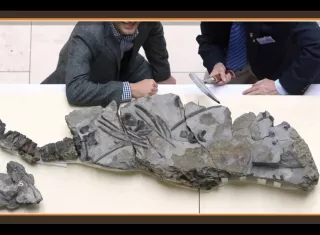 El verdadero monstruo del lago Ness no se parece al que teníamos en mente.  /  Captura de video