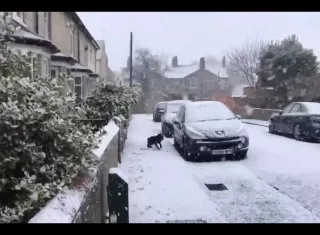 La emoción era tanta que no podía quedarse quieto.