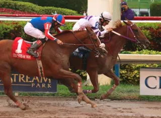 El ejemplar &#039;El Tigre Mono&quot; (adelante) cuando se impuso en la meta del Clásico Confraternidad. Foto: Cortesía