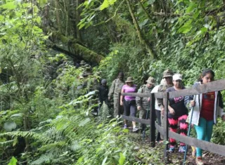 Medida para fortalecer la protección a los recursos naturales.