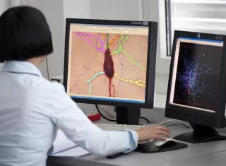 En este estudio, las neuronas que no son motoras como las del ojo lograron realizar funciones motoras, asociadas por ejemplo con la utilización de prótesis y aparatos ortopédicos. EFE/Archivo