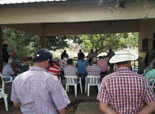 Los maicero están preocupados 