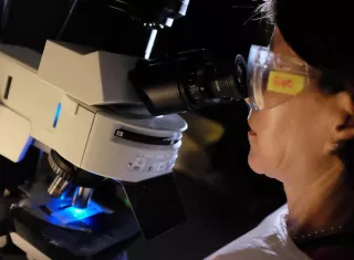 Una microbióloga revisa varias muestras de células en un microscopio. EFE Archivo