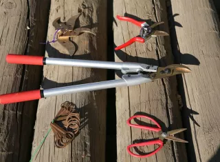 Fotografía tomada el pasado 11 de mayo y cedida por Rodrigo Lander, un ingeniero agrónomo chileno que ha creado unas tijeras de podar fabricadas en cobre que previenen la contaminación entre las plantas. EFE