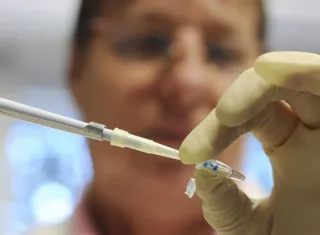 El estudio indica que, genéticamente, ese 90 % de especies animales que muestran una variación genética de sólo un 0,1 % aparecieron hace 100.000-200.000 años. EFE