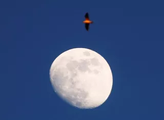 hina lanza un satélite de retransmisión para establecer un enlace de comunicación entre la Tierra y la sonda lunar Chang&#039;e-4. EFE / Archivo