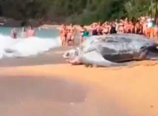 Captura de video Ufo Chanel.