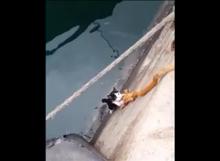 Captura de video @trovatour