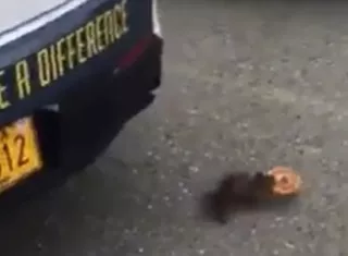 Captura de video Anchorage Police Department