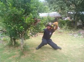 El animal estaba temeroso. Foto: @BCBRP