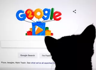 Fotografía de archivo fechada el 27 de septiembre de 2018 que muestra a un gato frente a una pantalla con el doodle por los 20 años de Google, en Mountain View, California (EE.UU.). EFE