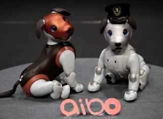 Una joven interactúa con el perro robótico Aibo de Sony este miércoles, durante un evento de prensa, en la sede de la empresa en Tokio (Japón). EFE