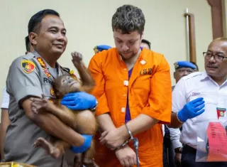 El sospechoso ruso Andrei Zhestkov (c) es escoltado por un policía que sostiene en brazos al orangután de dos años que supuestamente iba a ser vendido ilegalmente en Rusia. EFE