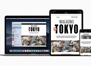 Imagen que muestra las pantallas de varios dispositivos de la compañía de tecnología Apple en las que aparece el nuevo servicio, Apple News+, este lunes en Cupertino, California (Estados Unidos). EFEApple Inc.