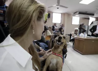 Isabel Aguilar juega con su perro Campeón este viernes en San José (Costa Rica). EFE