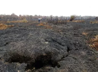 Vistas de un área deforestada y quemada en Filo Del Tallo, Darién del año 2016. Foto: MiAmbiente