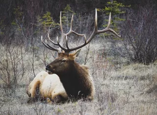 Foto: Ilustrativa - Pixabay