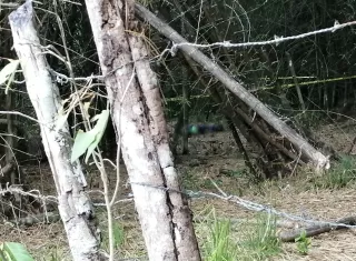 Foto: Eric Montenegro