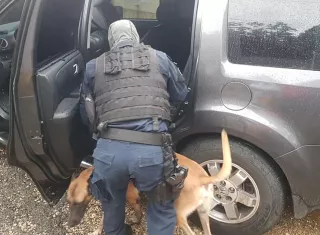 Se desconoce, por el momento, qué delitos enfrentar los retenidos 