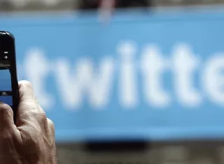 "Birdwatch' (observación de aves, en español), es el nombre de este proyecto