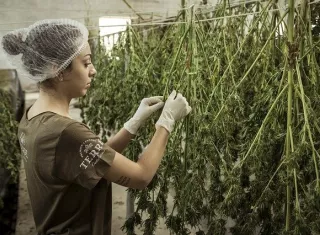 Para mañana martes a las 9:00 a.m. se convocó una mesa técnica para analizar el tema. Foto: Ilustrativa - Pixabay