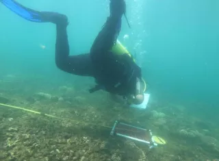 Durante las inmersiones se observó una cantidad considerable de  coral fracturado, lo que supone la presencia de malas prácticas de uso del recurso.