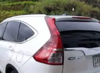 Se sospecha que esta banda proviene de Panamá, y va a Colón a dejar los vehículos que se roban en otras partes del país y viceversa.