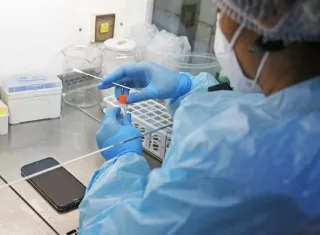 Científicos trabajan en el testeo del covid-19 con muestras tomadas en celulares. EFE