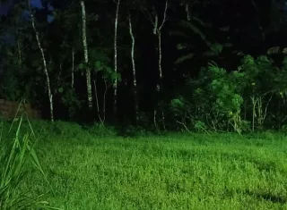 El hecho ocurrió en una finca ubicada en área montañosa. Foto: Landro Ortiz