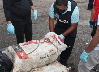 La sustancia ilícita fue incautada mediante Mediante acciones contra el narcotráfico.