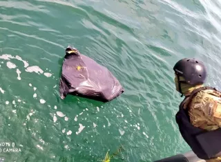 No se reportó la aprehensión de ninguna persona.