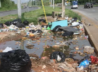 personas inescrupulosos tiran la basura en donde les da la gana.