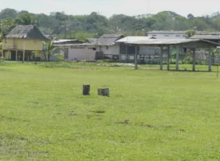 Hasta los siembros de los vecinos de estas poblaciones campesinas, son objeto de hurtos, como los plátanos, las yucas, guineos.